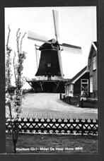 molen; Korenmolen De Hoop te Wachtum., Verzenden, Ongelopen, Drenthe