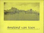 AMELAND van toen... - fotoboek begin 20ste eeuw, Ophalen of Verzenden, Gelezen