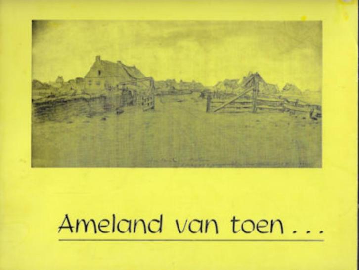 AMELAND van toen... - fotoboek begin 20ste eeuw, Boeken, Geschiedenis | Stad en Regio, Gelezen, Ophalen of Verzenden