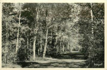 (387-235-031) Ermelo Bospad beschikbaar voor biedingen