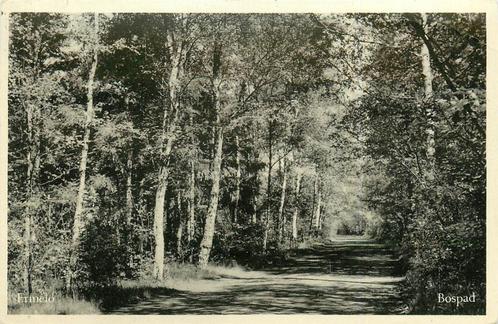 (387-235-031) Ermelo Bospad, Verzamelen, Ansichtkaarten | Nederland, Gelderland, Verzenden