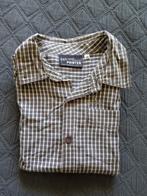 Blouse Pointer, Gebruikt, Overhemd of Blouse, Ophalen of Verzenden, Pointer