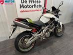 APRILIA SHIVER 750 ABS (bj 2009), 750 cc, 2 cilinders, Bedrijf, Meer dan 35 kW