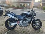 Honda CB600F Hornet - Naked Bike, Sportuitlaat, 4 cilinders, Particulier, Minimaal motorrijbewijs A1