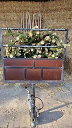 vers EIKEN HARDHOUT  kachelhout in stammetjes ca. 2 m3, Tuin en Terras, Haardhout, Minder dan 3 m³, Ophalen, Eikenhout, Stammen
