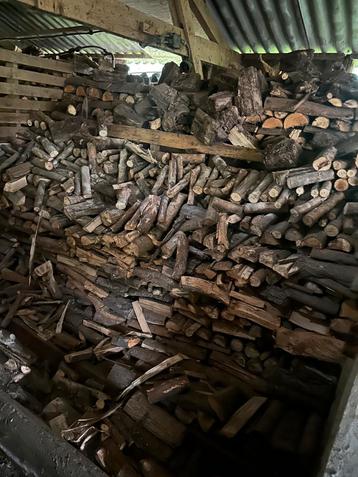 20m3 haardhout (wilgen) beschikbaar voor biedingen