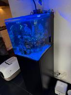Blue marine 60 ( leeg aquarium ), Ophalen of Verzenden, Zo goed als nieuw, Leeg aquarium