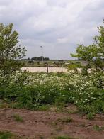 Stalling aangeboden Gytsjerk, Dieren en Toebehoren, Stalling en Weidegang, Stalling