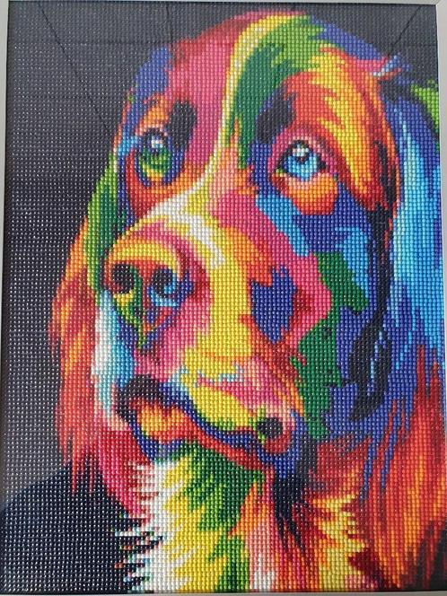 Diamond painting hond gekleurd (40x30 cm), Huis en Inrichting, Woonaccessoires | Wanddecoraties, Zo goed als nieuw, Ophalen of Verzenden