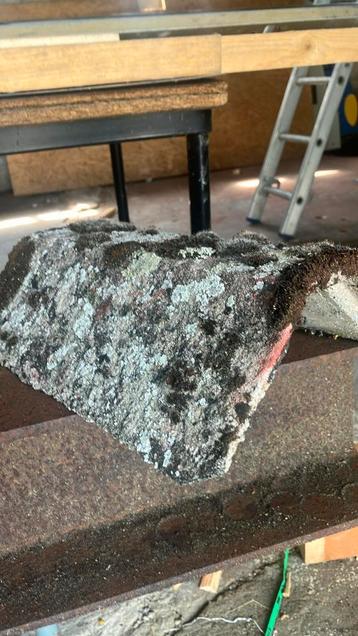 Oude nokvorsten beschikbaar voor biedingen