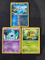 Black & White 2011 , lotje, Ophalen of Verzenden, Zo goed als nieuw