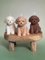 Labradoodle kaars, Ophalen of Verzenden, Nieuw, Beeldje of Figuurtje