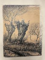 Sonnenberg, Johan (1886-1937) - inkt tekening Knotwilgen, Antiek en Kunst, Kunst | Tekeningen en Foto's, Ophalen of Verzenden