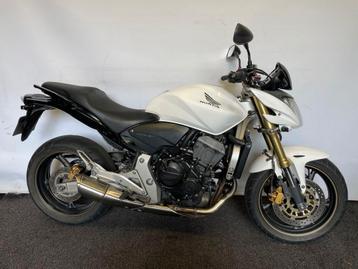 HONDA CB 600 F HORNET (bj 2007) beschikbaar voor biedingen