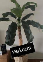 Mooie grote kunstplant met mand, Huis en Inrichting, Ophalen of Verzenden, Zo goed als nieuw