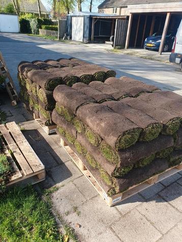 Vandaag graszoden leggen,op rol, per2 beschikbaar voor biedingen