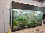 aquarium met alles erbij, Ophalen, Gebruikt, Gevuld zoetwateraquarium