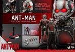 Hot Toys Marvel Antman MMS308 1/6 Figuur, Ophalen of Verzenden, Nieuw, Film, Actiefiguur of Pop