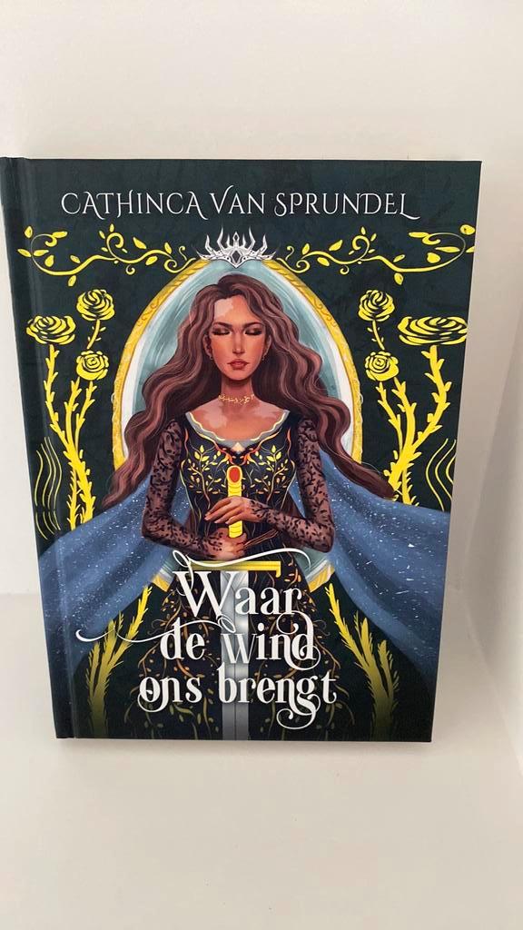 Cathinca van Sprundel - Waar de wind ons brengt, Boeken, Kinderboeken | Jeugd | 13 jaar en ouder, Zo goed als nieuw, Ophalen of Verzenden