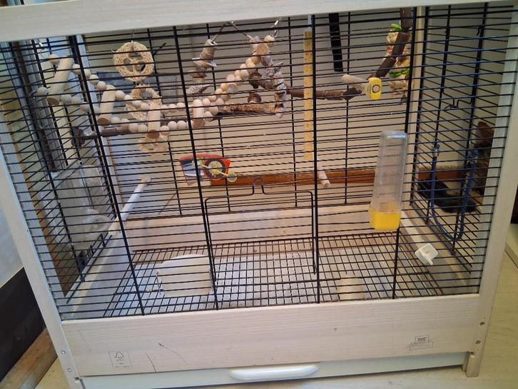 Mooie vogel kooi vogelkooi voilere, Dieren en Toebehoren, Vogels | Hokken en Kooien, Zo goed als nieuw, Vogelkooi, Metaal, Ophalen of Verzenden