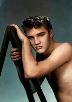 ELVIS PRESLEY FOTO'S (3), Foto, Nieuw, Ophalen of Verzenden, 1940 tot 1960