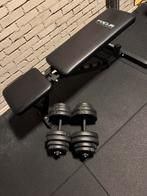 Focus Fitness Force 8 Verstelbare Trainingsbank + Dumbells, Ophalen, Zo goed als nieuw, Fitnessbank