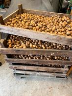 Walnoten oogst 2025, Ophalen