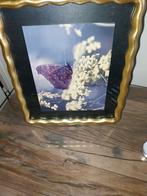 Fotolijst, Minder dan 50 cm, Nieuw, Ophalen of Verzenden, Minder dan 50 cm