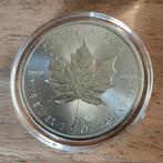 Zilver Maple Leaf 2022 - 1 oz in capsule., Ophalen of Verzenden, Zilver