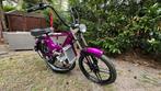 Puch Maxi met Derbi Blok, Ophalen, 6 versnellingen, 70 cc, Nieuw