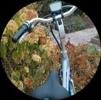 batavus fuego e-go 61cm, Fietsen en Brommers, Fietsen | Dames | Damesfietsen, Ophalen, Gebruikt, Versnellingen, Batavus