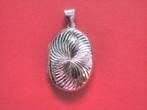 Mooi en Apart Ovaal Zilveren Medaillon, Verzenden, Zilver, Hanger