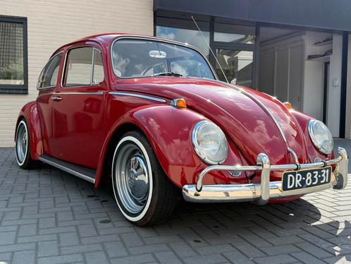 Ruby red 66er Kever mooier als nieuw 1600cc, Auto's, Oldtimers, Bedrijf, Volkswagen, Benzine, Hatchback, Handgeschakeld, Rood