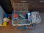 Farplast twee hamsterkooien op elkaar met toebehoren, Dieren en Toebehoren, Kooi, Gebruikt, Minder dan 75 cm, Hamster