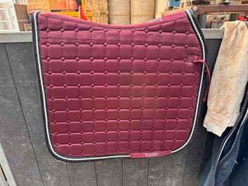 Equito black cherry beschikbaar voor biedingen