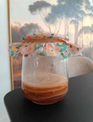2 stuks kombucha scoby incl. startersvloeistof beschikbaar voor biedingen