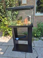 superfish 80 ltr, Ophalen, Gebruikt, Leeg aquarium