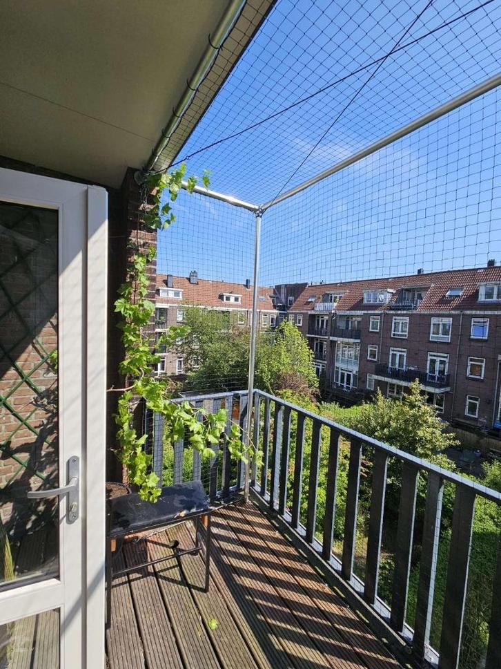 Kattennet Tuin of Balkon, Dieren en Toebehoren, Katten-accessoires, Nieuw, Ophalen of Verzenden