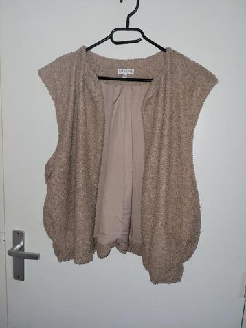 Taupe Gilet/Vestje - Maat L/XL beschikbaar voor biedingen