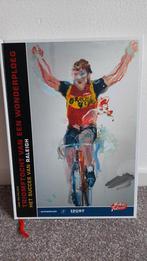 Triumftocht van een Wonderploeg - Raleigh, Ophalen of Verzenden, Zo goed als nieuw, Joop Holthausen, Lopen en Fietsen