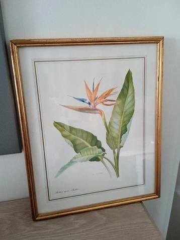 Vintage houten kader met bloem prent in beschikbaar voor biedingen