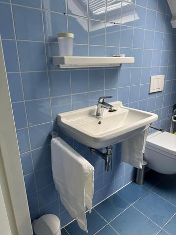 Duravit wastafel en plank beschikbaar voor biedingen
