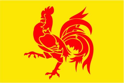 Wallonie Wallonia Waals Gewest vlag, Diversen, Vlaggen en Wimpels, Nieuw, Ophalen of Verzenden