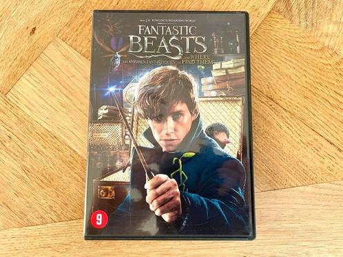 Fantastic Beasts and Where to Find Them (2016) op DVD, Cd's en Dvd's, Dvd's | Science Fiction en Fantasy, Zo goed als nieuw, Fantasy