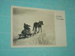 11) Zwart-wit ansichtkaart Paard, Verzamelen, Ansichtkaarten | Dieren, Verzenden, 1940 tot 1960, Ongelopen, Paard