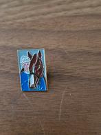 Vb463 Paard en Jockey Pin, Ophalen of Verzenden, Gebruikt, Sport, Speldje of Pin