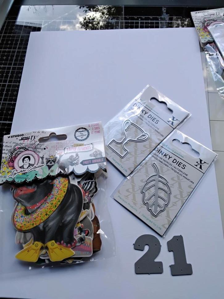 Studio Light/Diversen, Hobby en Vrije tijd, Stempelen, Clearstamp, Ophalen of Verzenden