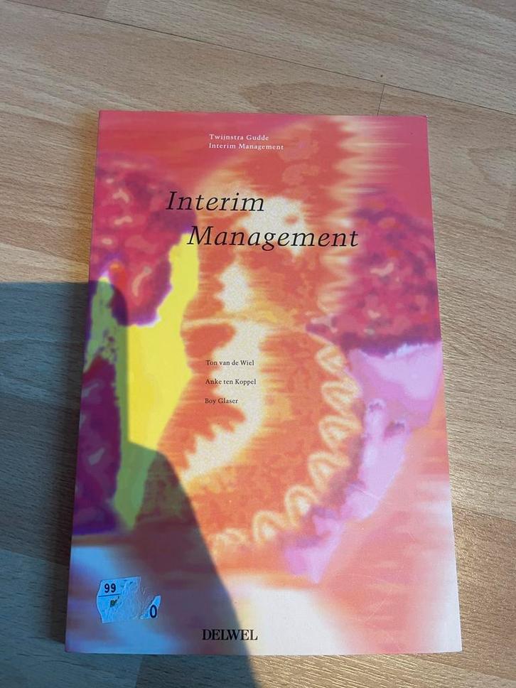 Interim Management - Twijnstra Gudde, Boeken, Economie, Management en Marketing, Gelezen, Management, Ophalen of Verzenden