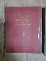Oude Nederlandse Bijbel met Bewaarbox, Boeken, Ophalen of Verzenden, Gelezen, Onbekend, Christendom | Protestants