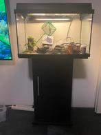 Juwel  aquarium 60 liter, Dieren en Toebehoren, Vissen | Aquaria en Toebehoren, Ophalen, Gebruikt, Leeg aquarium